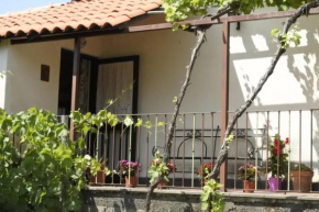 Отель Casa vacanza Etna Evergreen  Пьедимонте Этнео